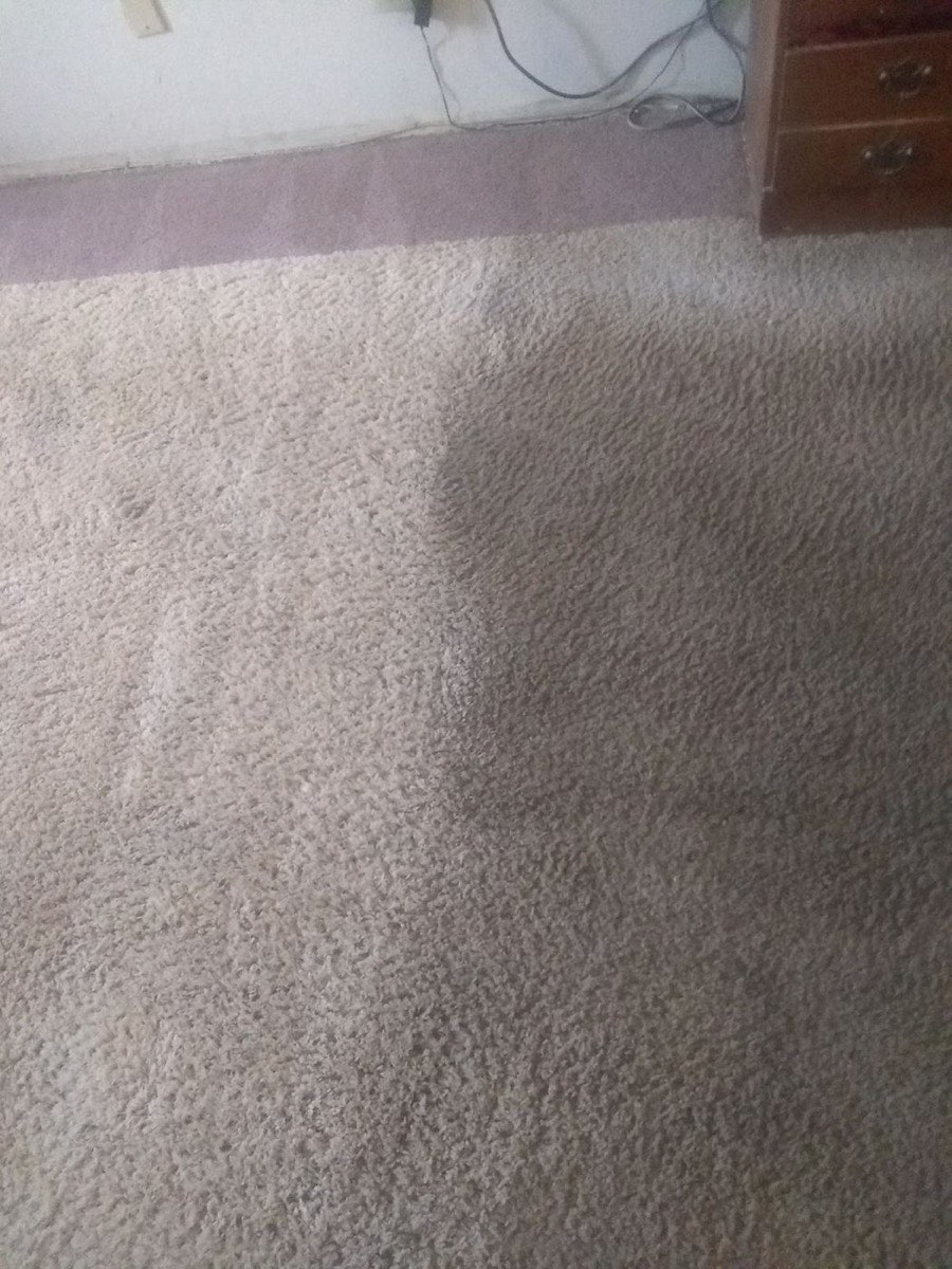 Carpet with a dark, dirty section next to a lighter cleaned section